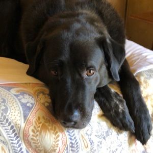 Meet your Posher, Cindy